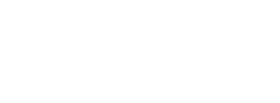 The Allure The Allure Logo